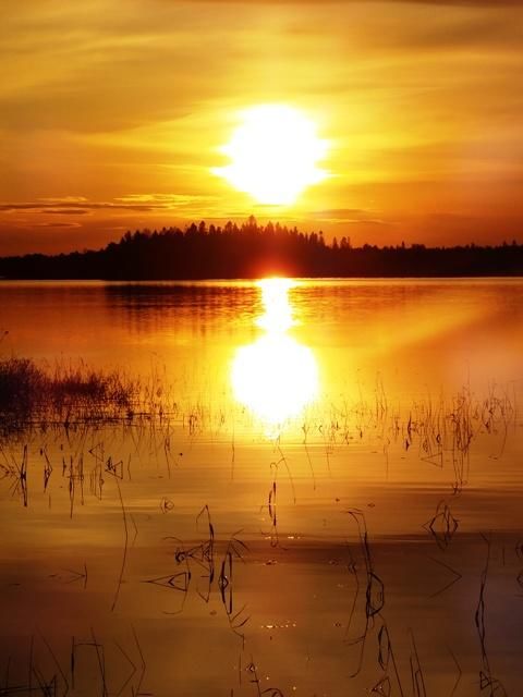 Отель Hotel Kainuu Кухмо-8